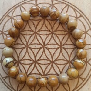 Bracelet bois fossile